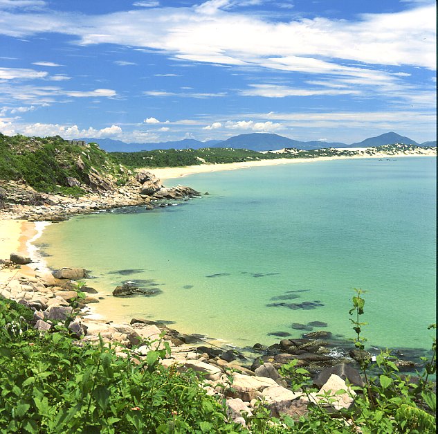Mô tả ảnh.