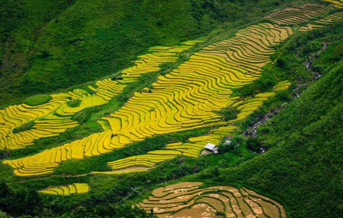 Mô tả ảnh.