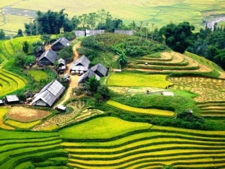 Mô tả ảnh.