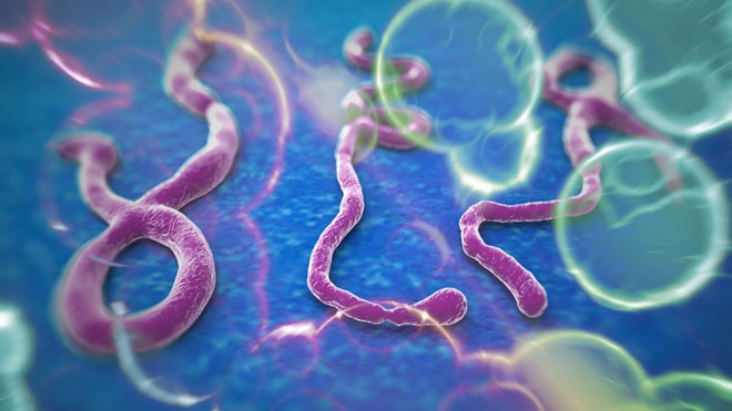 SHBET 1000 Casino trực tuyến, Slot Game 3D, thể thao, bệnh dịch, Ebola, vi khuẩn Ebola, chữa bệnh, trị bệnh, phụ nữ, đàn ông, làm vợ, làm mẹ, Shbet111 slot, casino, thể thao, xổ số, hạnh phúc, làm cha mẹ, nuôi con, dạy con, chăm con, trị bệnh, chữa bệnh