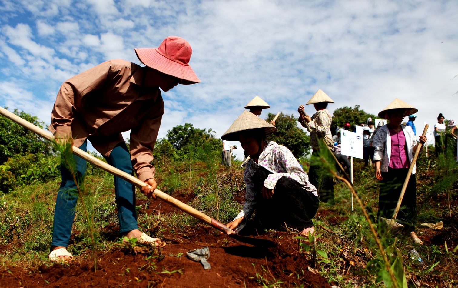 Mô tả ảnh.