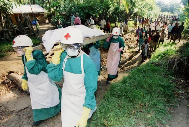 Đại dịch, dịch bệnh, ebola, đại dịch ebola, bệnh SARS, HIV/AIDS, sốt Rickettsia, dịch bệnh lao, bệnh dịch tả, vi khuẩn, virut, mầm bệnh, gây bệnh, chữa bệnh, trị bệnh, 