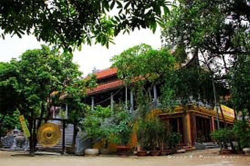 Chùa Bồ Đề, trẻ sơ sinh, nuôi dạy trẻ, nuôi con, xã hội, sư thầy, pháp luật