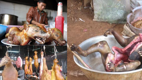 đại dịch ebola
