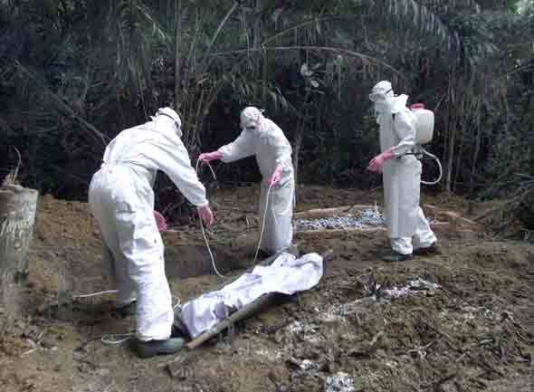 ebola