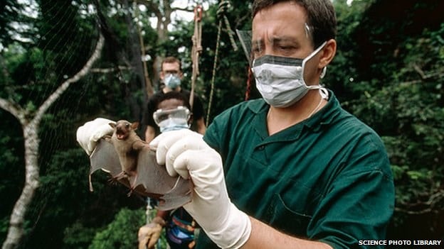 Ebola, đại dịch, đại dịch Ebola, sức khỏe, con người, truyền nhiễm