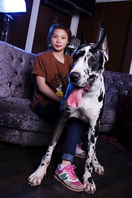 Mô tả ảnh.