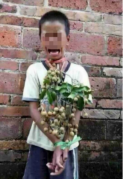 Mô tả ảnh.