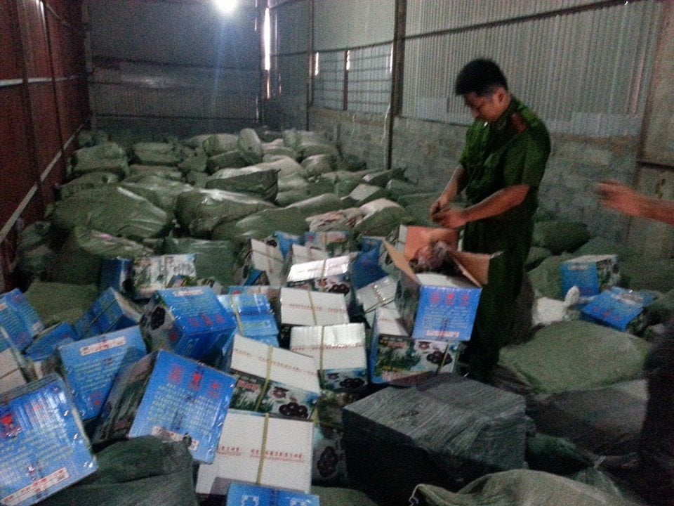 Mô tả ảnh.