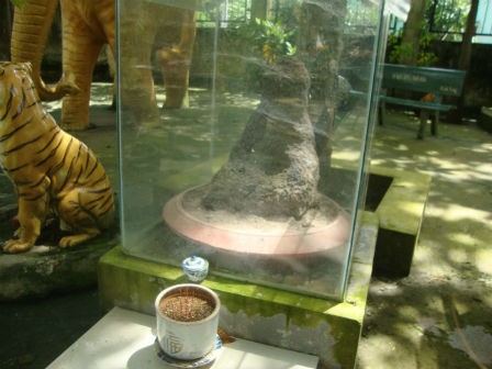 Mô tả ảnh.