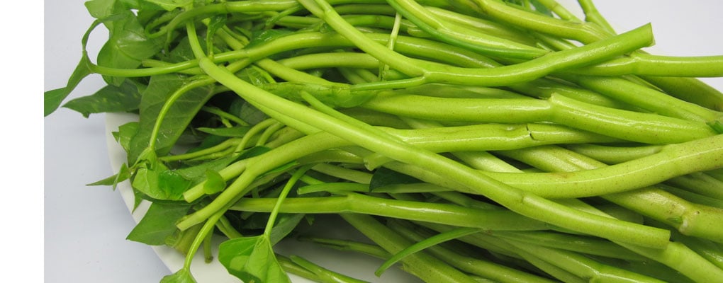 thực phẩm bổ thận tráng dương