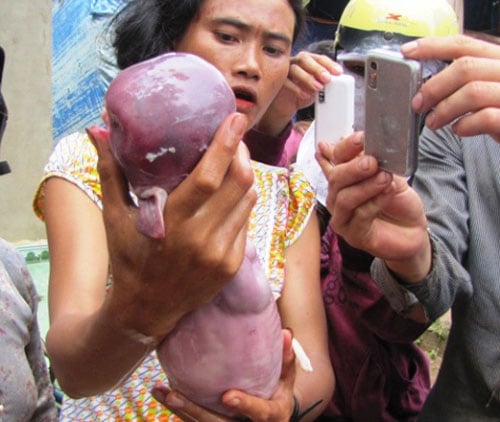 Mô tả ảnh.