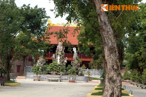 ông trùm minh sâm