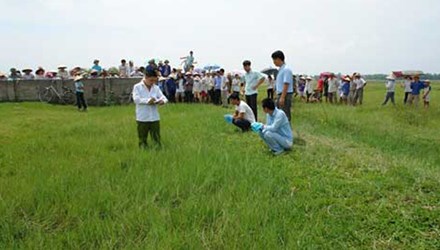 Mô tả ảnh.
