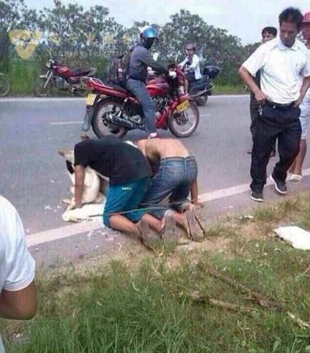 ăn trộm