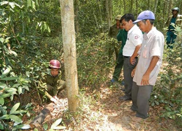 Hiện trường vụ nổ đầu đạn khiến ông Nguyễn Bảy tử vong