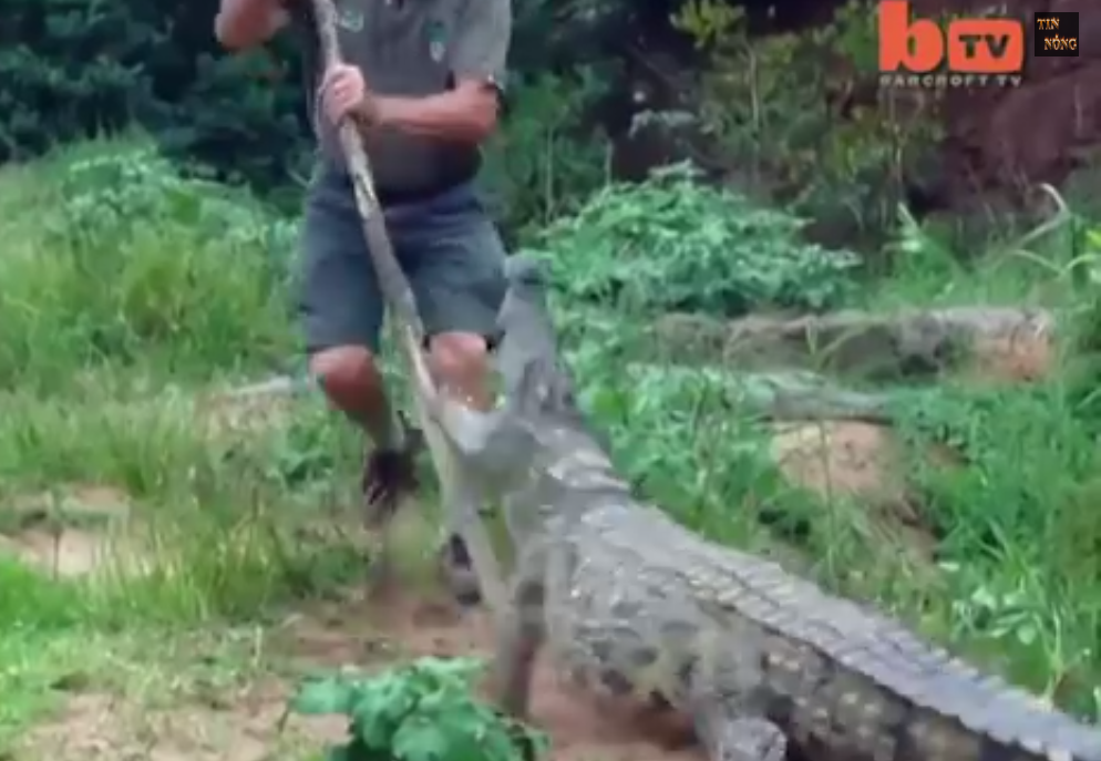 Mô tả ảnh.
