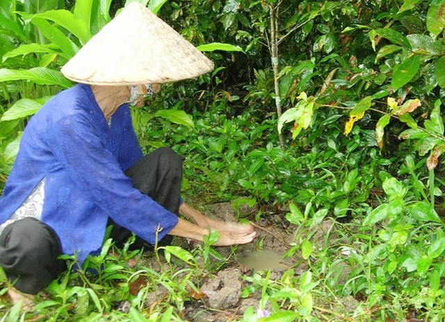 Mô tả ảnh.