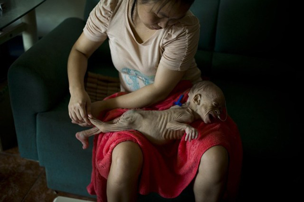 Mô tả ảnh.
