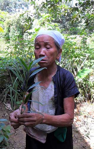 chữa bệnh rùng rợn