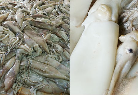 Mực trước và sau khi tẩy trắng