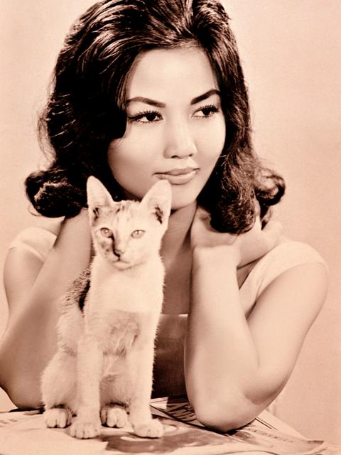 kiều chinh
