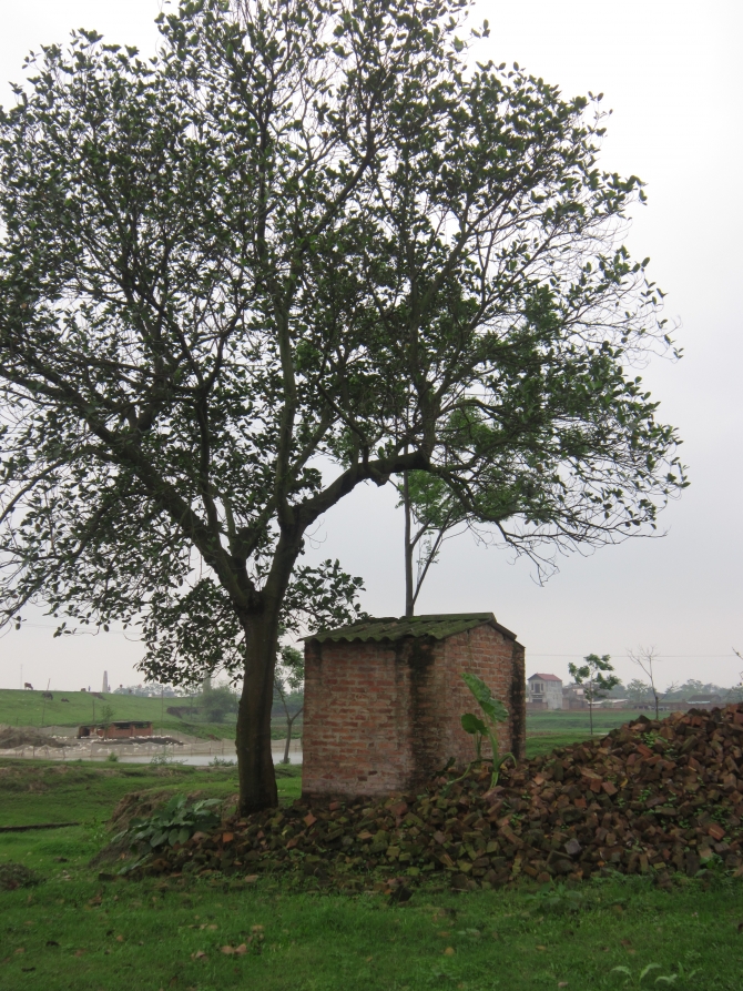 Mô tả ảnh.