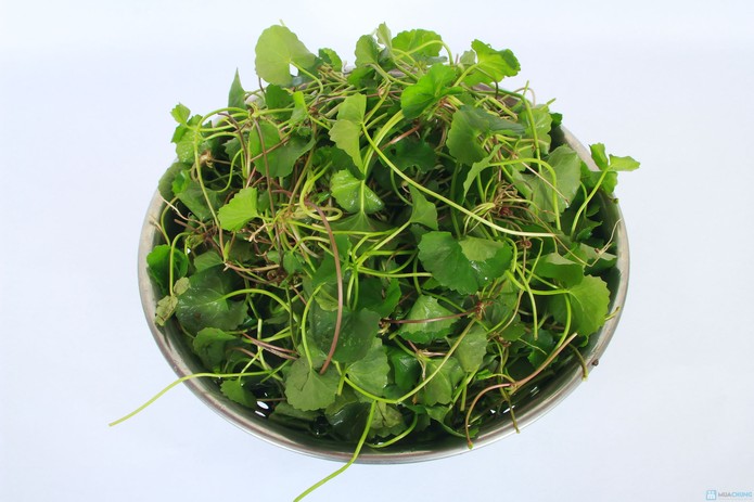 trị vết thâm bằng rau má
