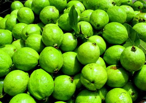 Làm mẹ, sức khỏe, chăm sóc sức khỏe, khéo tay, chọn ổi ngon, cách chọn ổi, phụ nữ, làm vợ, làm dâu