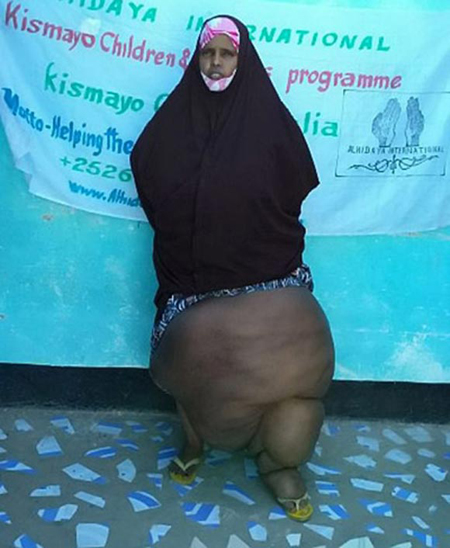 Mô tả ảnh.
