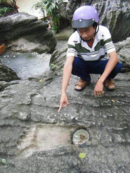 Mô tả ảnh.