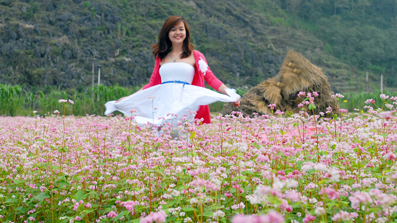 hoa tam giác mạch