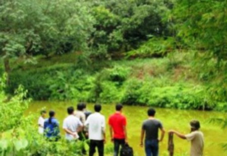 Tán dì không đổ, giết cháu trả thù