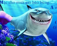 đứt cáp quang