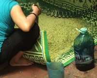 nhuộm cốm