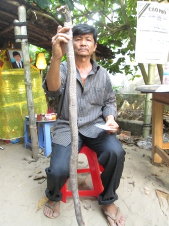 Bắt rắn, tử vong, nam thanh niên, Đồng Tháp, làm cha mẹ
