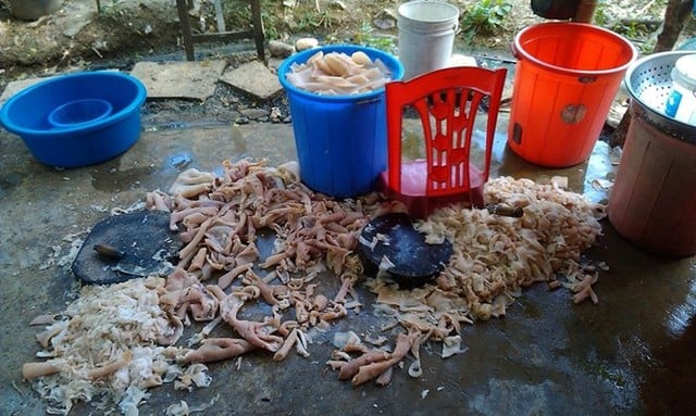 Mô tả ảnh.