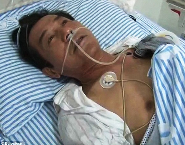 Mô tả ảnh.