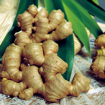 trị tóc bạc