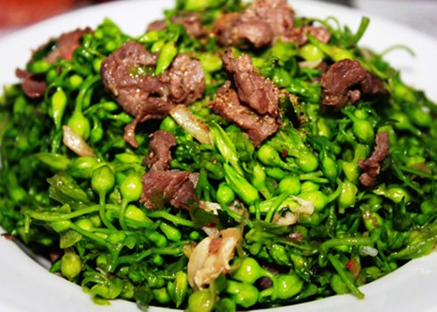 hoa thiên lý, bệnh trĩ, chữa trĩ, chữa bệnh trĩ, bệnh của dân văn phòng, bài thuốc dân gian