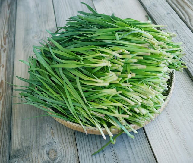 Mô tả ảnh.