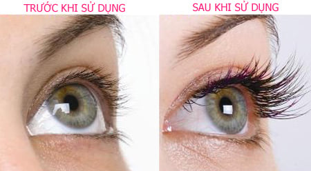 Làm đẹp, phụ nữ, cách làm dầu dừa, nối mi, dầu dừa
