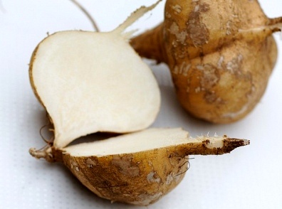củ đậu
