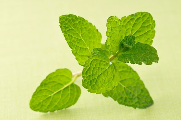 trị mụn cám