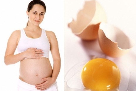 sức khỏe, chăm sóc sức khỏe, tía tô, cây tía tô, mang thai, bà bầu