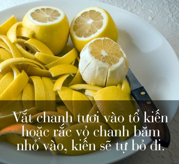làm mẹ, phụ nữ, Shbet111 slot, casino, thể thao, xổ số, mẹo hay, có thể bạn chưa biết, mẹo đuổi muỗi