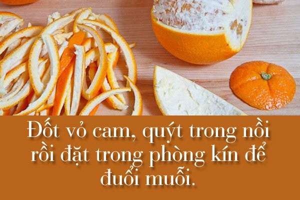 mẹo hay, có thể bạn chưa biết, làm mẹ, mẹo đuổi chuột