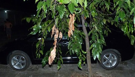 Mô tả ảnh.