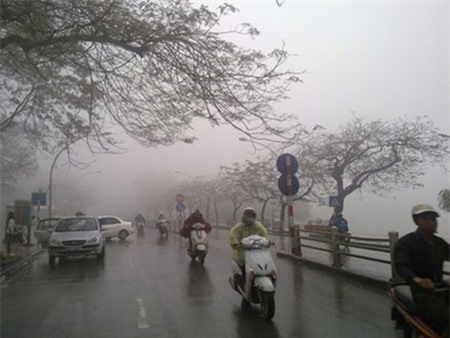 Mô tả ảnh.