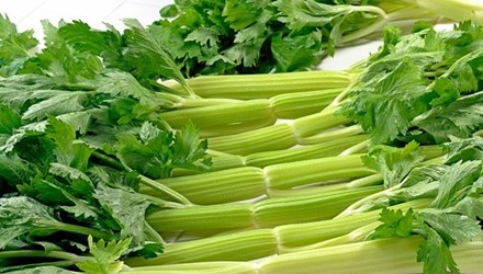 rau cần tây